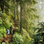 Ecotherapy: Connecting with Nature for Mental Health and Well-being