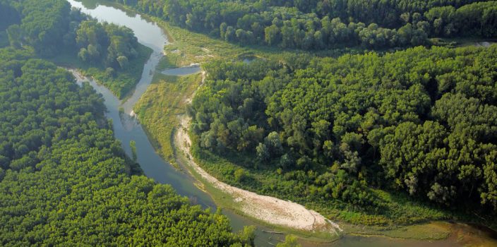 river restoration projects