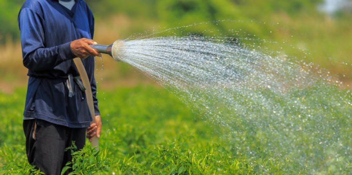 The Role of Agriculture in Water Quality Management in Europe
